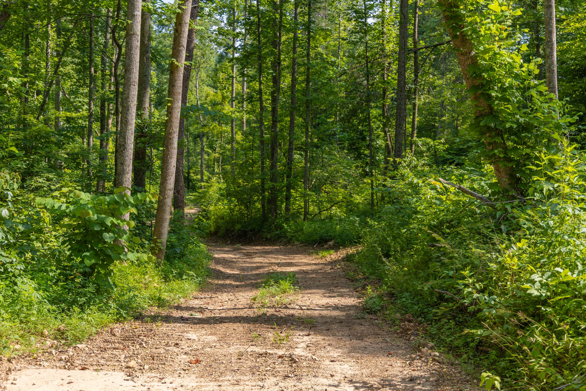 Tract 67 at Creek Hollow Phase II in Rockcastle County, Kentucky