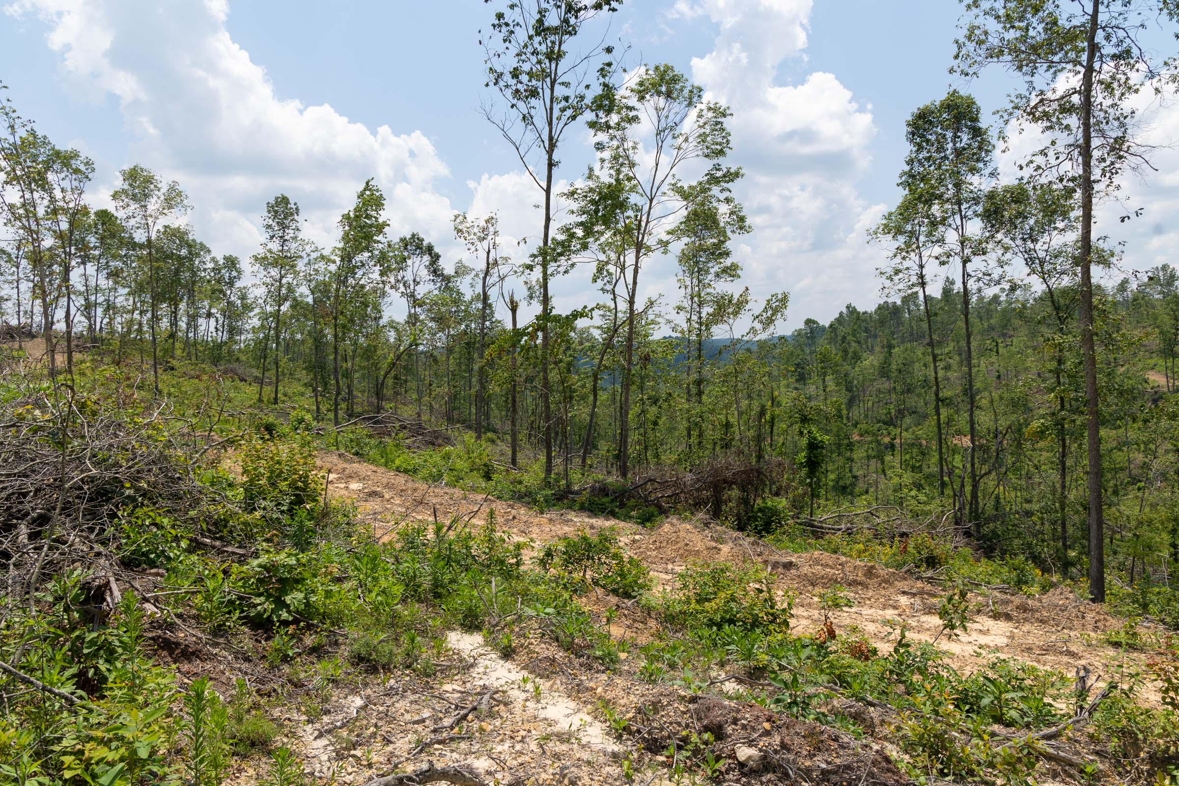 Tract 71 at Creek Hollow Phase II in Rockcastle County, Kentucky