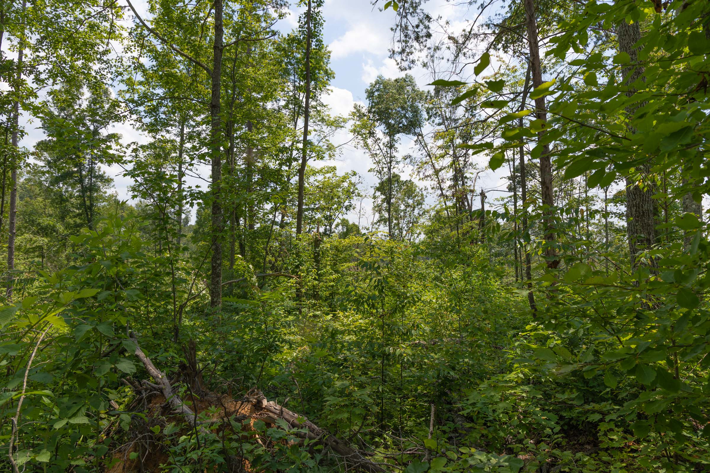 Tract 72 at Creek Hollow Phase II in Rockcastle County, Kentucky