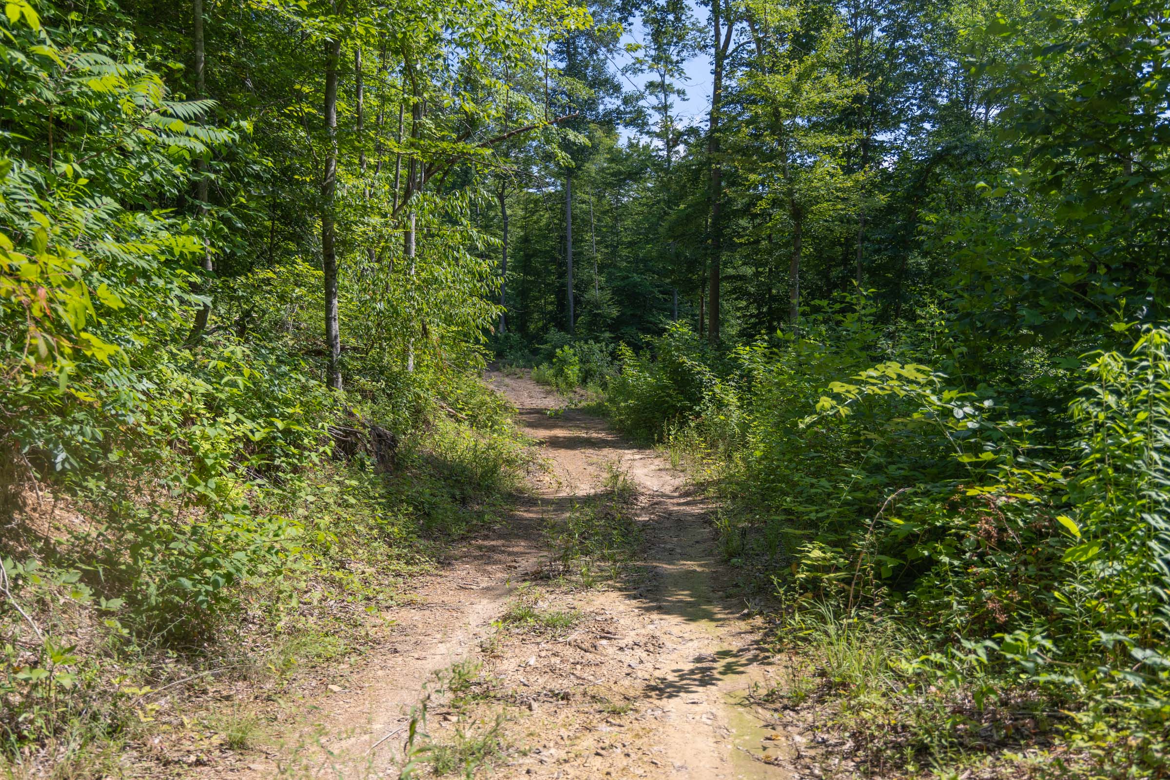 Tract 73 at Creek Hollow Phase II in Rockcastle County, Kentucky