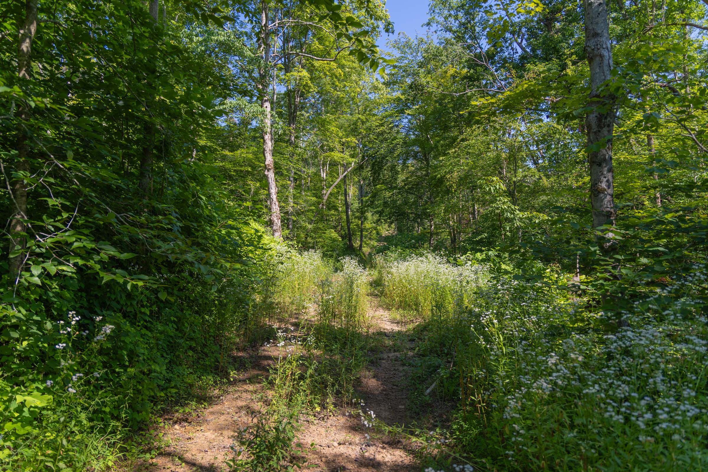 Tract 77 at Creek Hollow Phase II in Rockcastle County, Kentucky