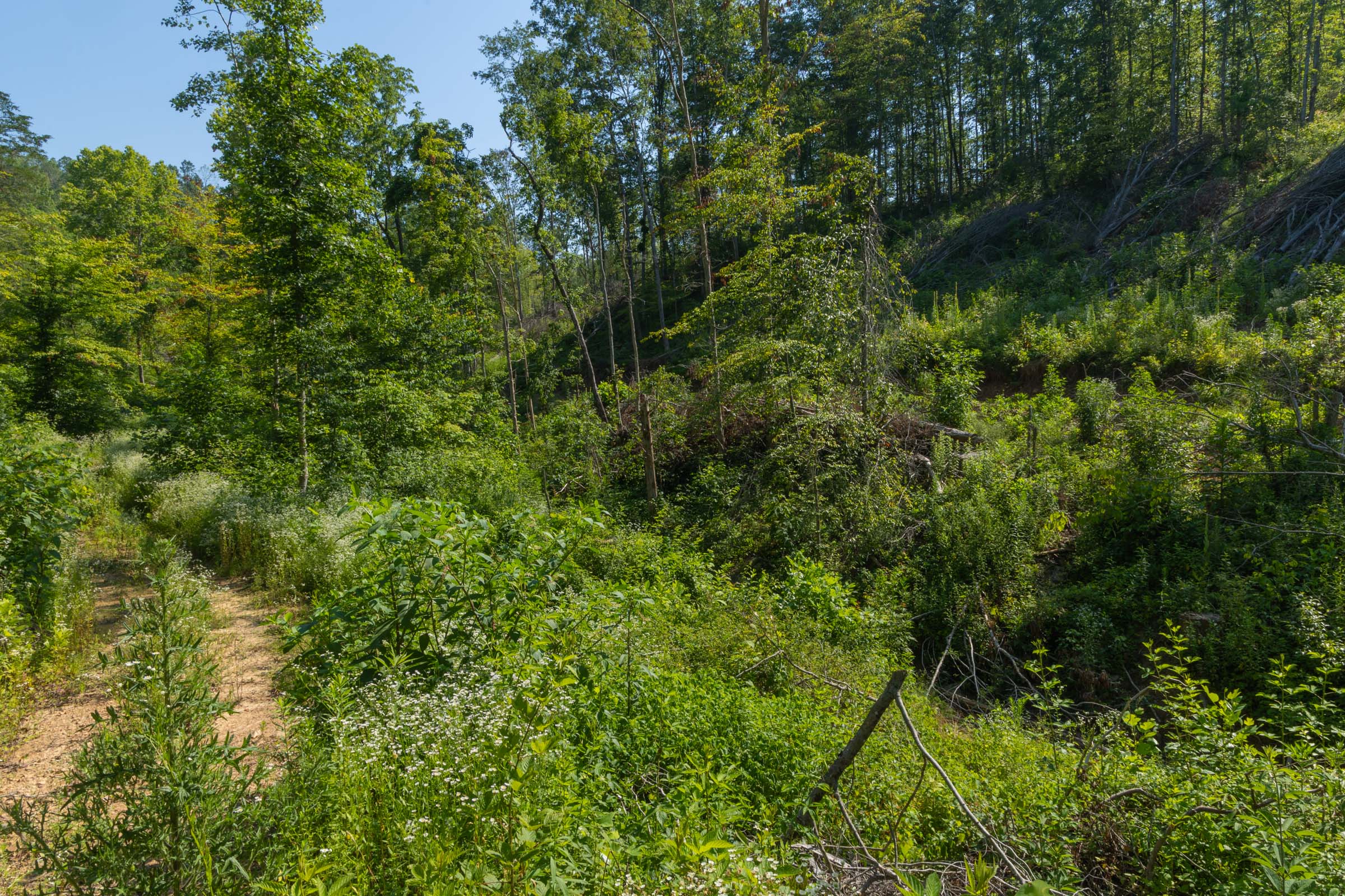 Tract 78 at Creek Hollow Phase II in Rockcastle County, Kentucky