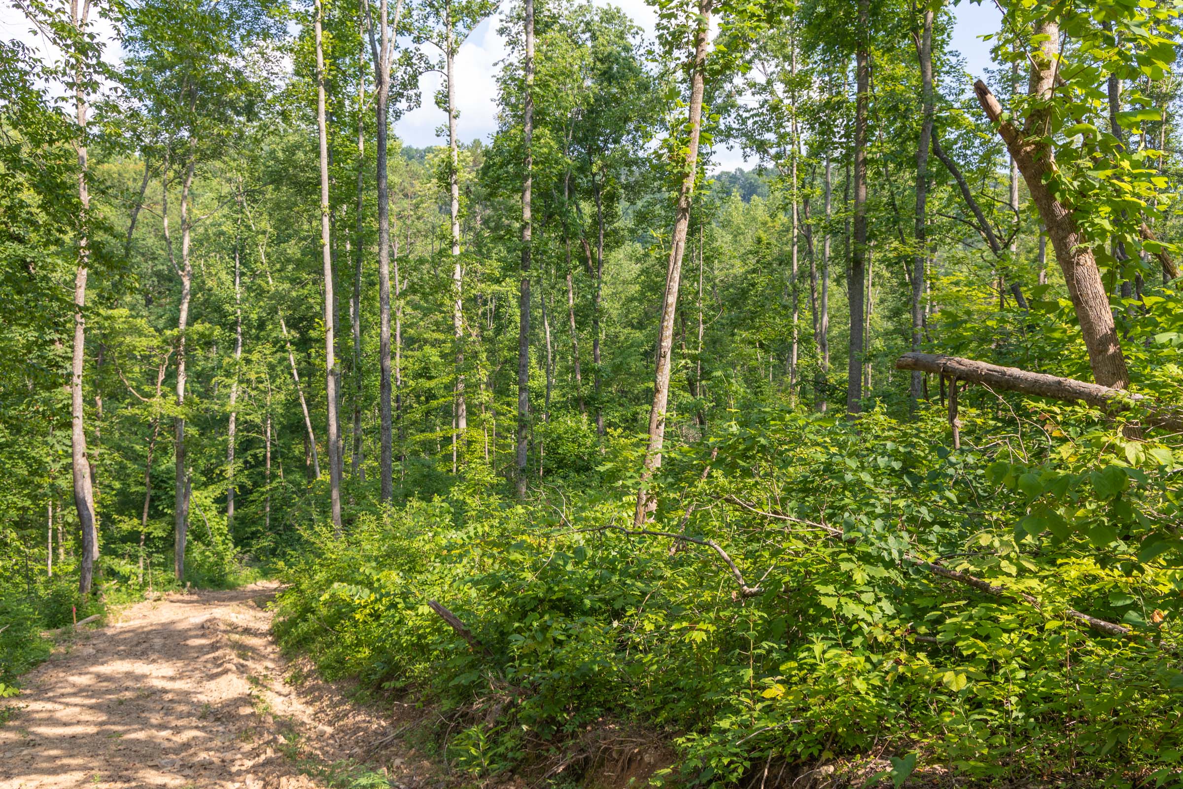 Tract 79 at Creek Hollow Phase II in Rockcastle County, Kentucky