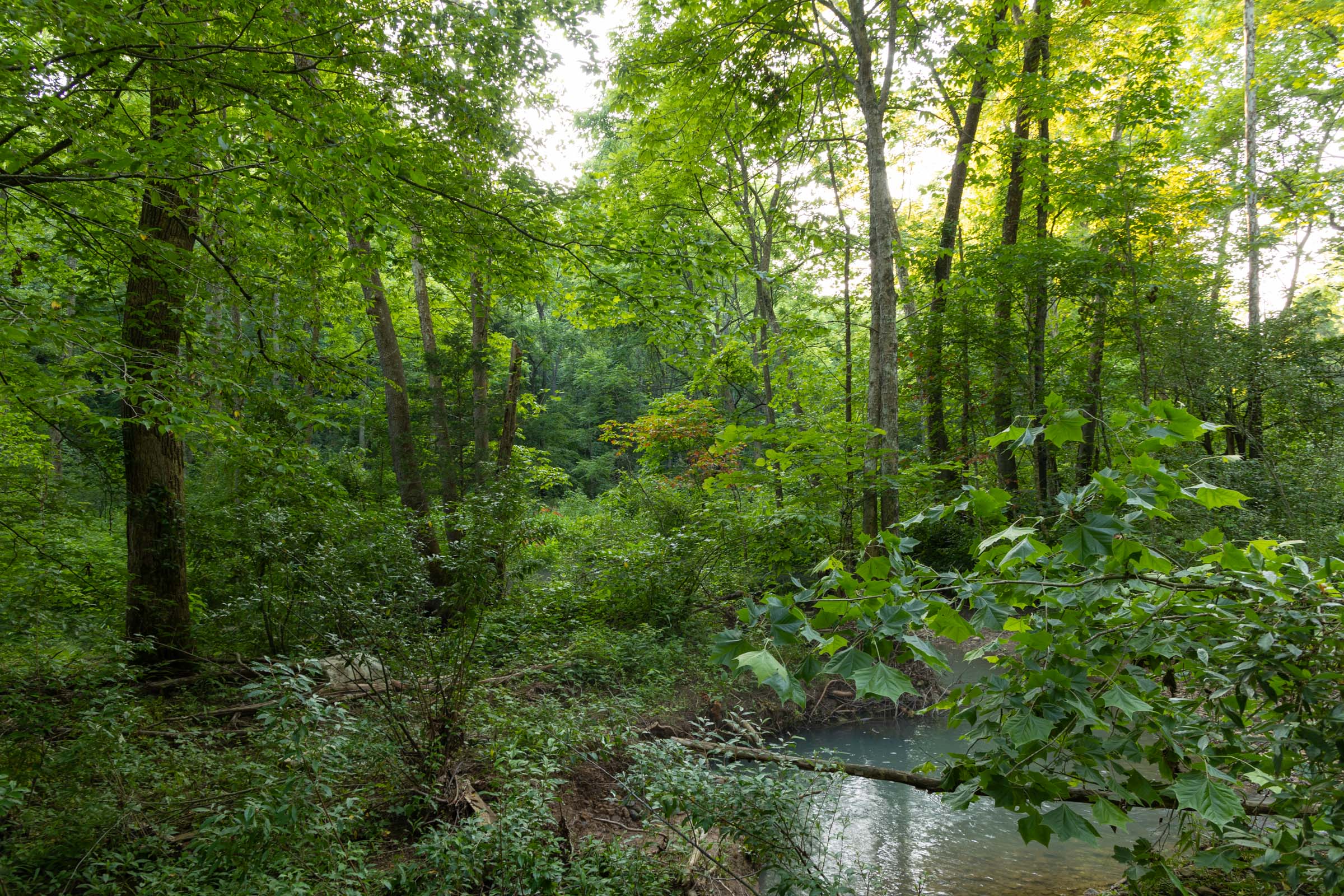 Tract 85 at Creek Hollow Phase II in Rockcastle County, Kentucky
